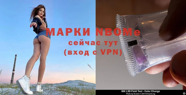 ешки Алзамай