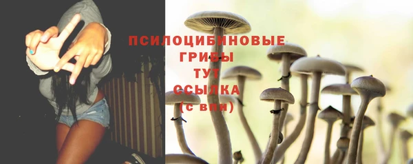 PSILOCYBIN Алексеевка
