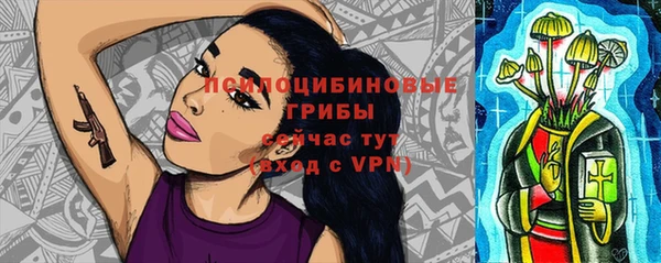 PSILOCYBIN Алексеевка