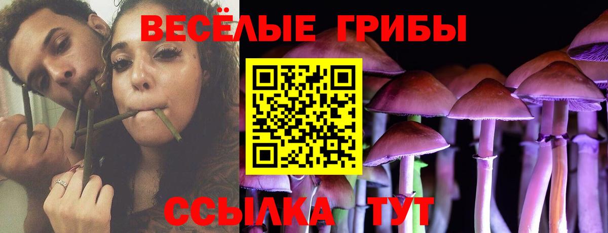 Феодосия  Галлюциногенные грибы мухоморы  Галлюциногенные грибы ЛСД  Вход с VPN 